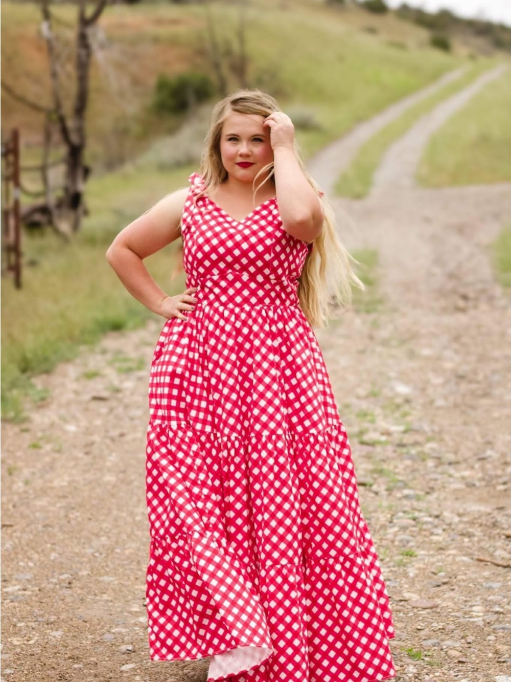 Lenora Gingham Super Cute Dresses Nursing Dress